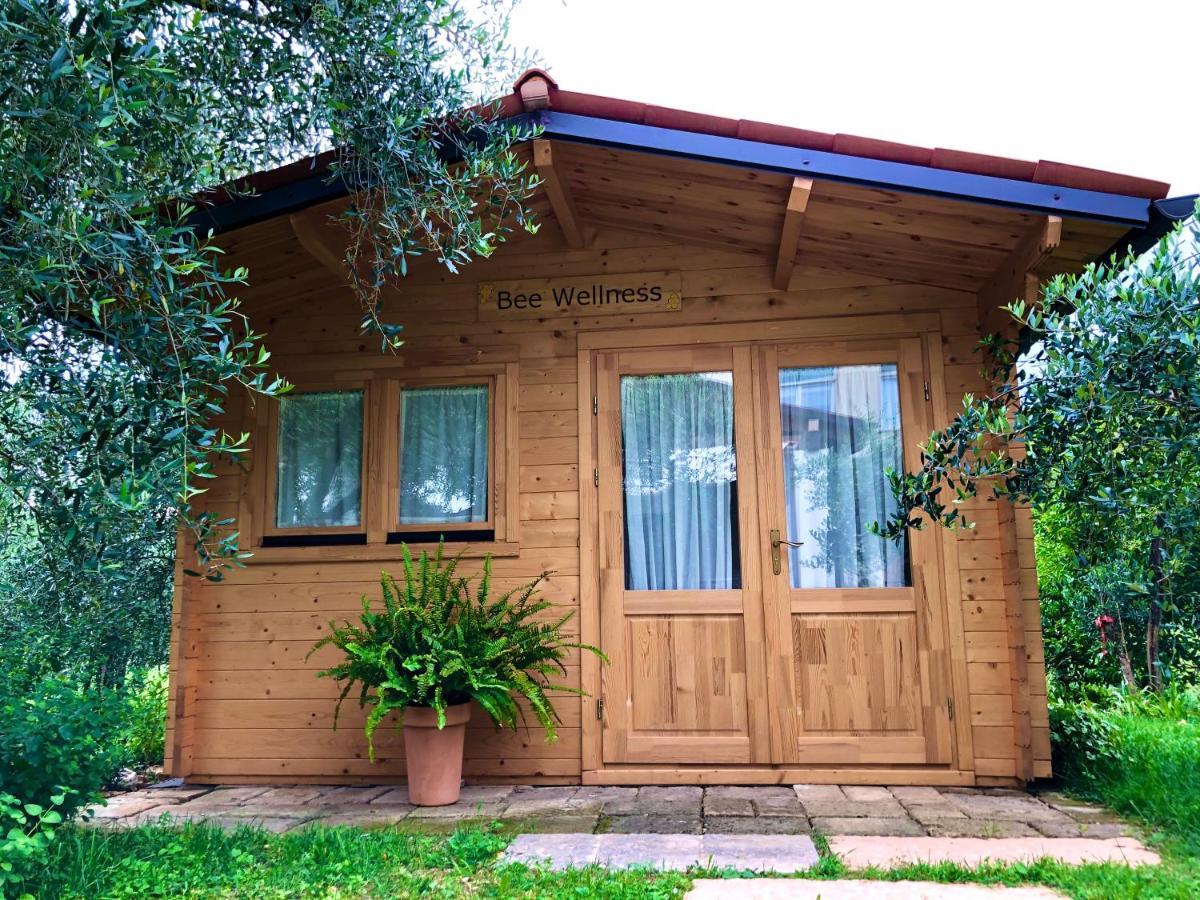 Beehouse - La Casa Delle Api Agriturismo Борсо-дель-Граппа Экстерьер фото
