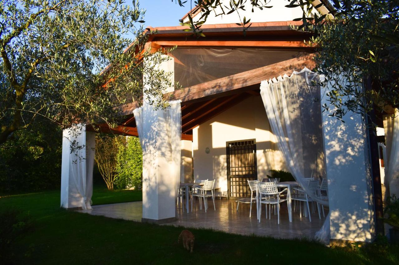Beehouse - La Casa Delle Api Agriturismo Борсо-дель-Граппа Экстерьер фото