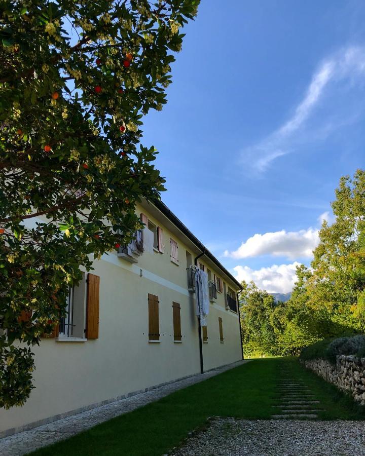 Beehouse - La Casa Delle Api Agriturismo Борсо-дель-Граппа Экстерьер фото
